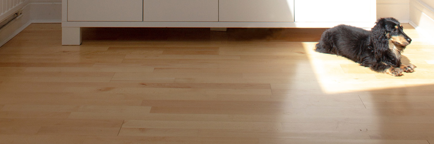 beste pvc vloeren voor huisdieren